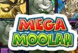 The Mega Moolah Jackpot Is At Life Changing Levels  